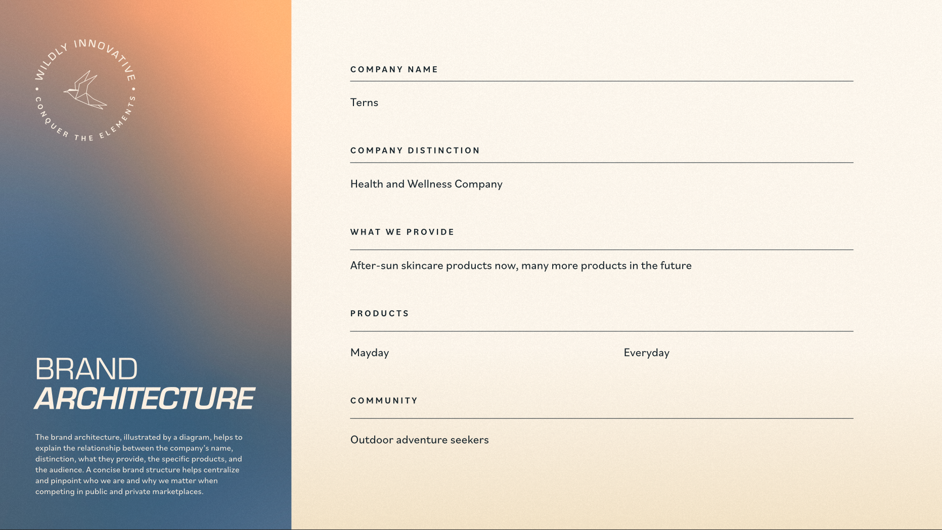 Brand architecture illustration showcasing the company name 'Terns', its distinction as a health and wellness company, and details about the products and target community.